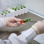 biotecnología vegetal