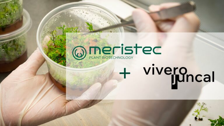 Meristec y Vivero Juncal