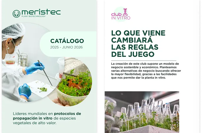 paginas catalogo movile