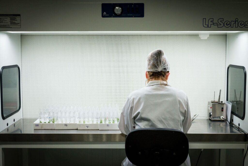 Biotecnología vegetal