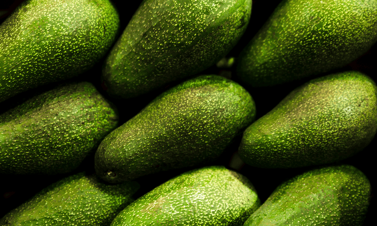 Aguacate